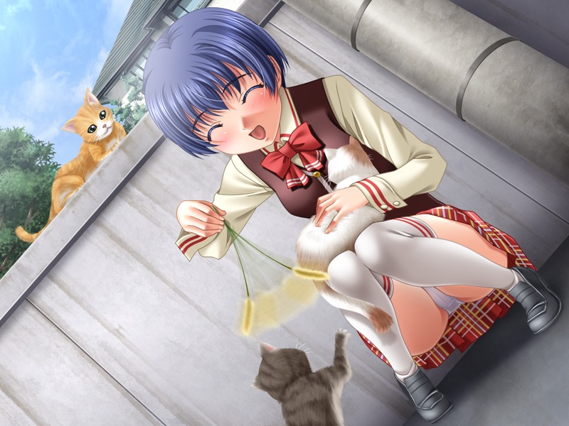 cg eroge female game_cg himegoto riddle_soft rule34 tagme