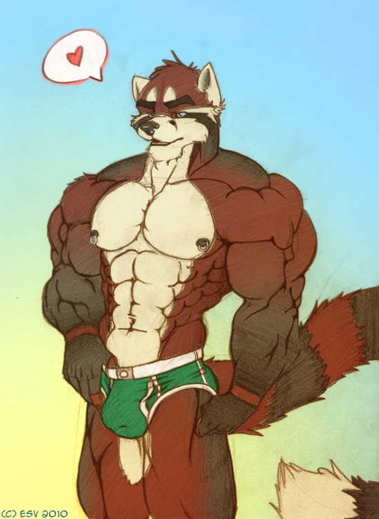 2010 abs ailurid anthro biceps big_muscles big_tail biped black_nose blue_background blue_eyes briefs brown_body brown_fur bulge clothed clothing colored e621 eyebrows fluffy fluffy_tail fur green_clothing heart_symbol huge_muscles kihu long_tail male mammal multicolored_body multicolored_fur muscular muscular_anthro muscular_legs muscular_male navel nipple_piercing nipples obliques pecs piercing pose red_panda shaded simple_background solo speech_bubble standing tail topless traditional_media_(artwork) triceps underwear yellow_background
