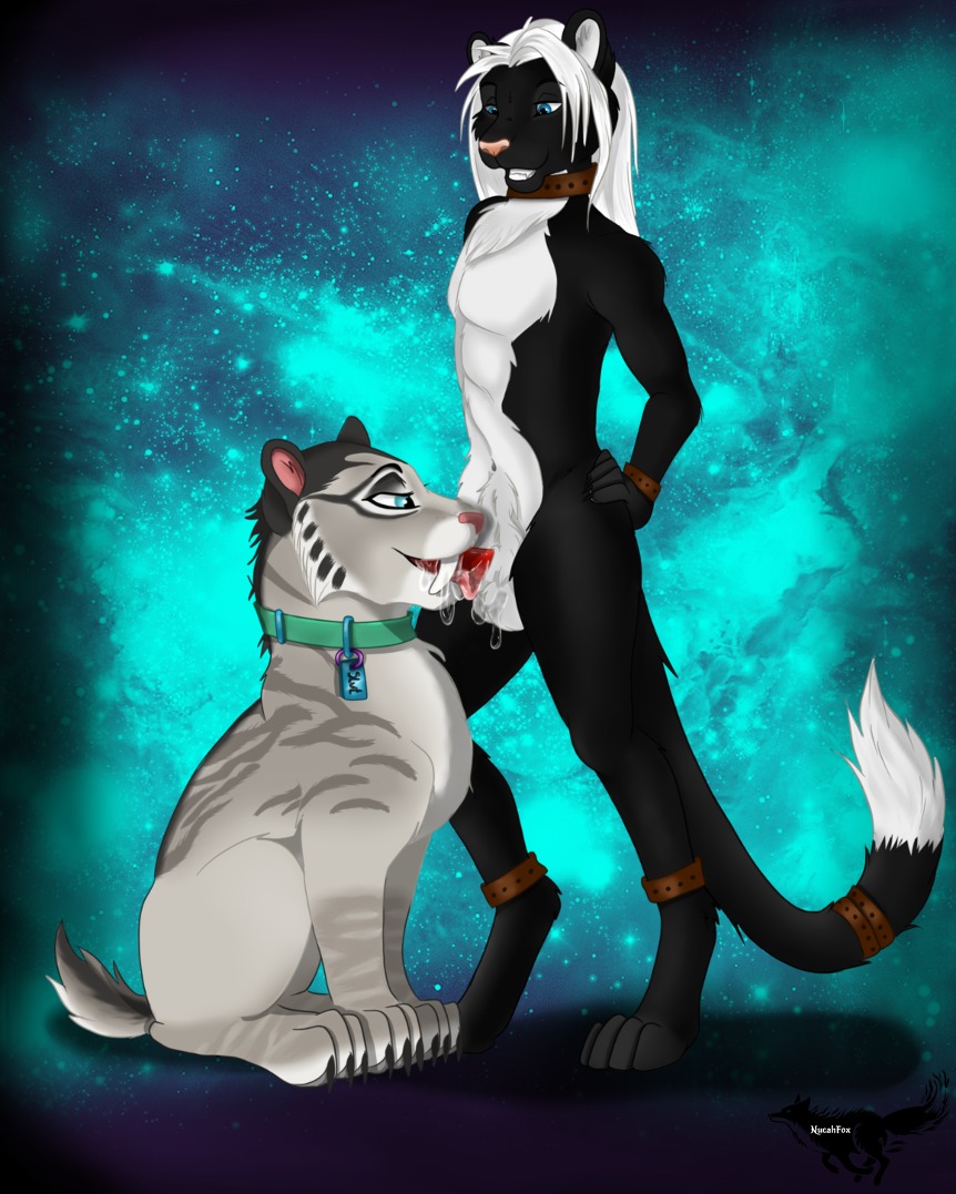 ambiguous_gender anthro anthro_on_feral anthro_penetrating anthro_penetrating_feral balls bestiality black_body black_fur blue_sky blue_sky_studios bodily_fluids butt claws cum cum_inside cum_on_face domestic_cat duo e621 erection fangs felid feline felis fellatio feral feral_penetrated fur genital_fluids genitals hair heart_symbol ice_age_(series) interspecies knot love male male_on_feral mammal micah nucahfox oral oral_penetration penetration penile penis prehistoric_species saber-toothed_tiger sabertooth_(anatomy) sex shira_(ice_age) short_tail sky tail teeth