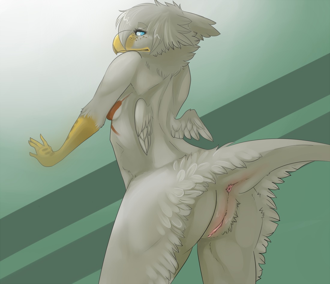anthro anus avian beak blue_eyes female freckles gryphon hoot looking_at_viewer looking_back mythological_avian mythological_creature mythology nude original original_character presenting pussy rule34 solo standing wings