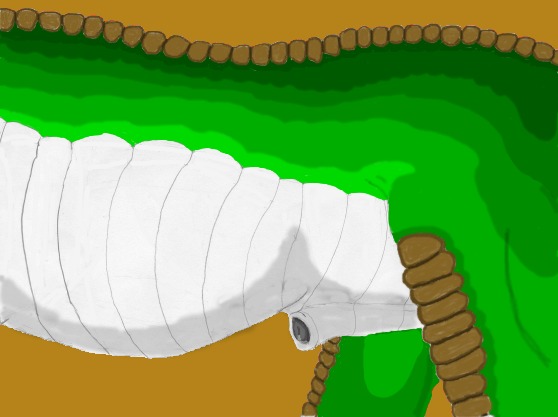 abdominal_bulge animal_genitalia avereth_(artist) e621 genitals male nude penis penis_tip reptile scalie sheath side_view slightly_chubby solo
