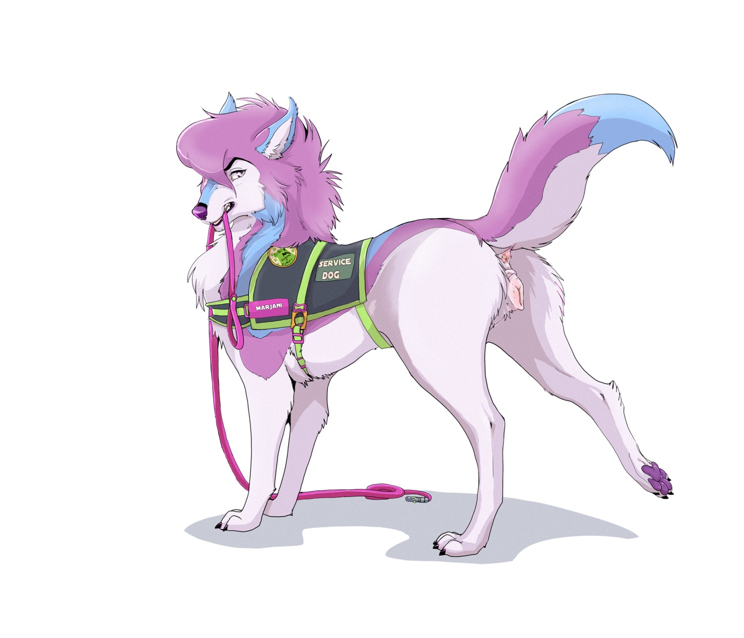 2014 anatomically_correct anatomically_correct_genitalia anatomically_correct_vulva animal_genitalia animal_vulva anus blue_body blue_fur butt canid canine canine_genitalia canine_vulva canis claws domestic_dog e621 feet female feral fur genitals hi_res hindpaw leash looking_at_viewer looking_back mammal marjani_(character) pawpads paws pink_body pink_fur presenting presenting_anus presenting_hindquarters presenting_vulva purple_nose purple_pawpads quadruped seductive service_animal service_dog_harness shebeast simple_background solo standing teeth vulva white_background white_body white_eyes white_fur