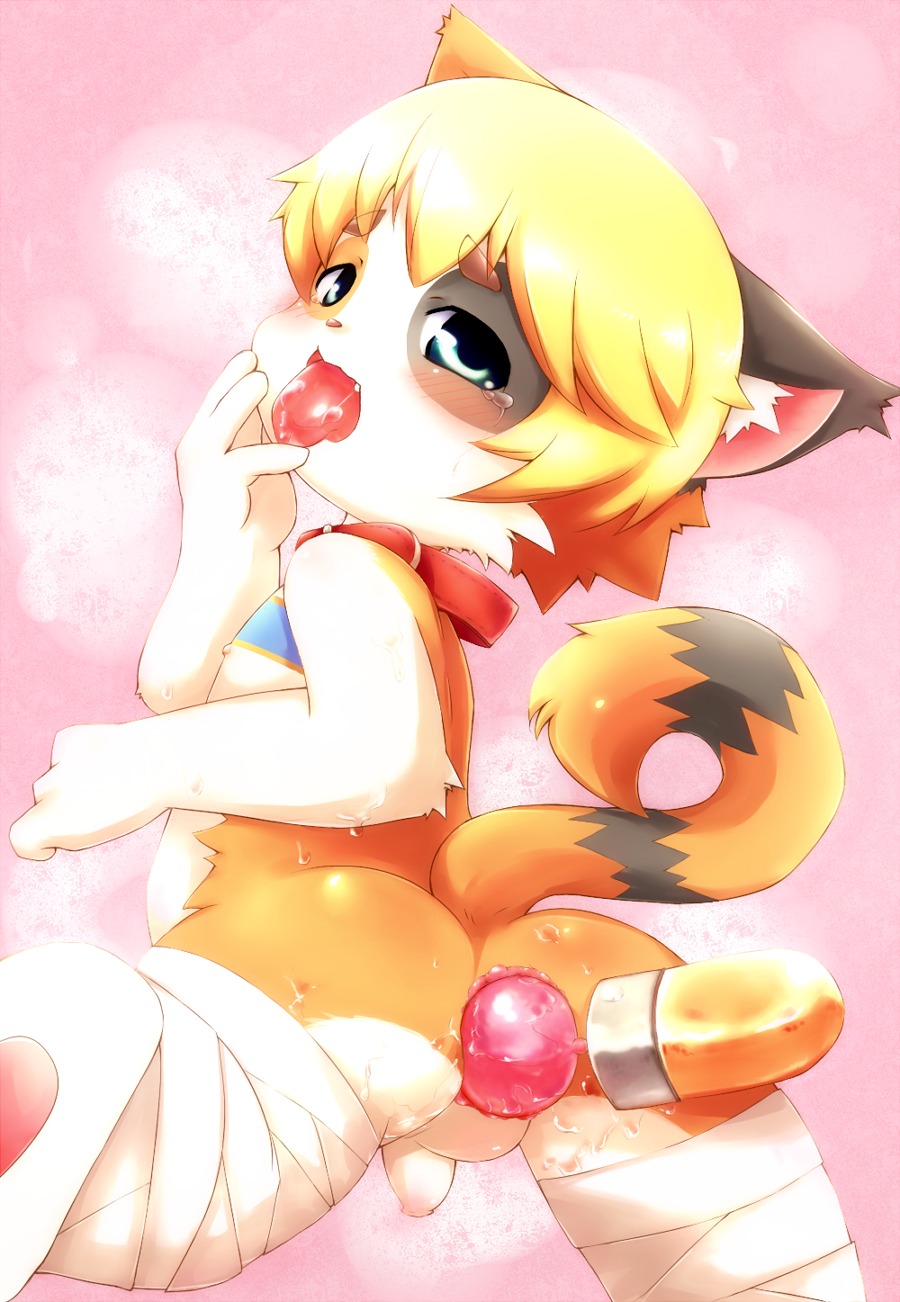 anal anal_beads anal_penetration anthro anus backsack balls bandage blush bodily_fluids calico_cat collar do_obmmm domestic_cat e621 felid feline felis foreskin genitals hi_res kemono looking_at_viewer male mammal mottled penetration penis piebald puinkey_(character) raised_tail sex_toy shota simple_background solo spread_legs spreading tail tears tongue tongue_out young young_anthro young_male