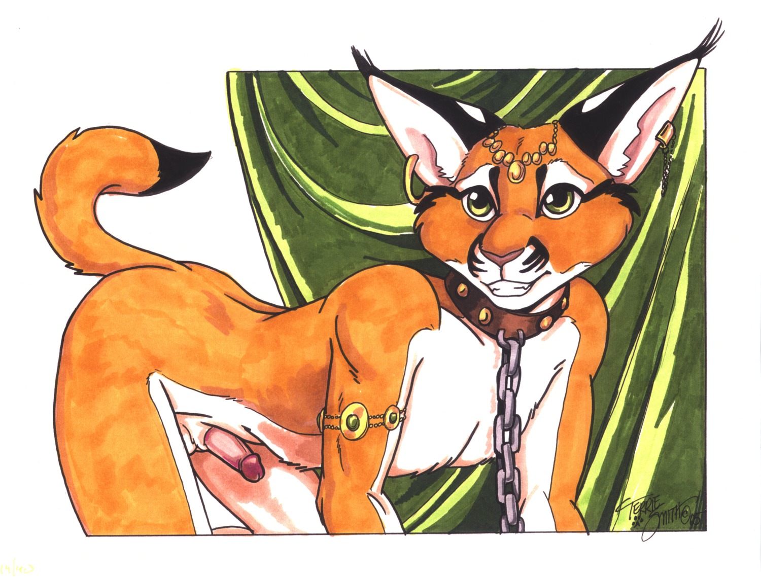 2005 absurd_res anthro caracal caracal_(genus) collar domestic_cat e621 erection felid feline felis fur genitals hi_res humanoid_genitalia humanoid_penis leaning leaning_forward looking_at_viewer male mammal nude orange_body orange_fur penis signature solo tail terrie_smith traditional_media_(artwork)