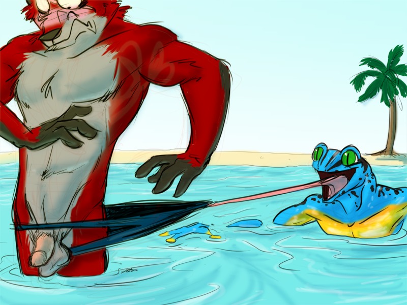4:3 amonomega amonomega_(character) anthro assisted_exposure balls blush canid canine clothing dactyl_(damaratus) duo e621 flaccid fox fur gecko genitals lizard long_tongue male mammal penis reptile scalie scar speedo swimwear tongue