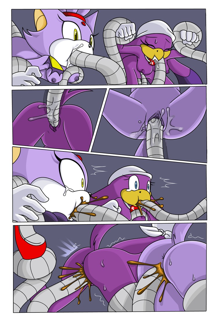 anthro anthro_female avian bird blaze_the_cat domestic_cat feline female female_anthro furry furry_female mobian_(species) rule34 sega sonic_(series) sonic_riders sonic_the_hedgehog_(series) swallow_(bird) tagme wave_the_swallow