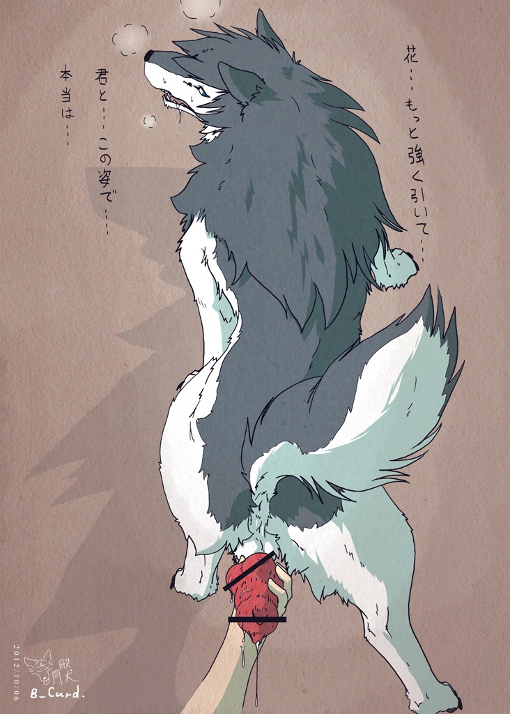 animal_genitalia animal_penis anus b_curd bestiality bodily_fluids butt canid canine canine_genitalia canine_penis canis cum cumshot digitigrade disembodied_hand drooling duo e621 ejaculation erection female feral first_person_view fur genital_fluids genitals grey_body grey_fur hana_(wolf_children) handjob human interspecies knot looking_back male mammal nude ookami_(wolf_children) orgasm penile penis penis_grab pov_hands precum raised_tail reverse_handjob saliva sex simple_background studio_chizu tail text translated uta-inu wolf wolf_children
