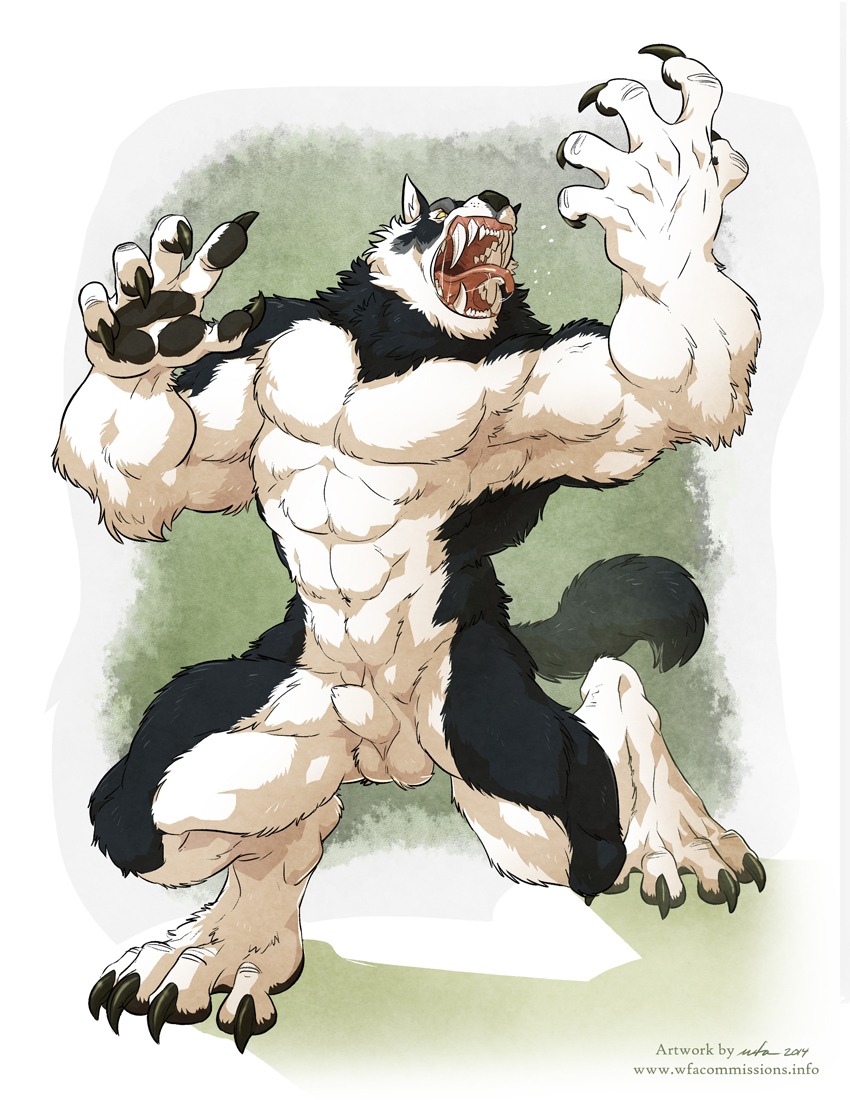 2014 4_toes abs animal_genitalia anthro balls biceps big_muscles black_body black_fur bodily_fluids canid canine canis claws e621 fangs feet fully_sheathed fur genitals male mammal muscular muscular_anthro muscular_male mythological_canine mythological_creature mythology nude open_mouth paws pecs quads roaring saliva sheath silverfoxwolf solo teeth toes tongue werecanid werecanine werecreature werewolf wfa white_body white_fur wolf