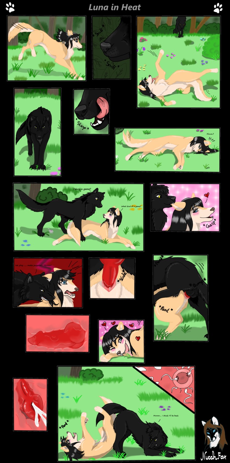 absurd_res animal_genitalia balls belly black_body black_fur black_hair blue_eyes bodily_fluids canid canine canis comic cum duo e621 english_text erection female feral feral_on_feral forced fur genital_fluids genitals hair hi_res impregnation impregnation_request knot luna_duskspeaker male male/female mammal nucahfox nude ovum penis sex sheath sy'ros text tongue wolf yellow_body yellow_eyes yellow_fur young