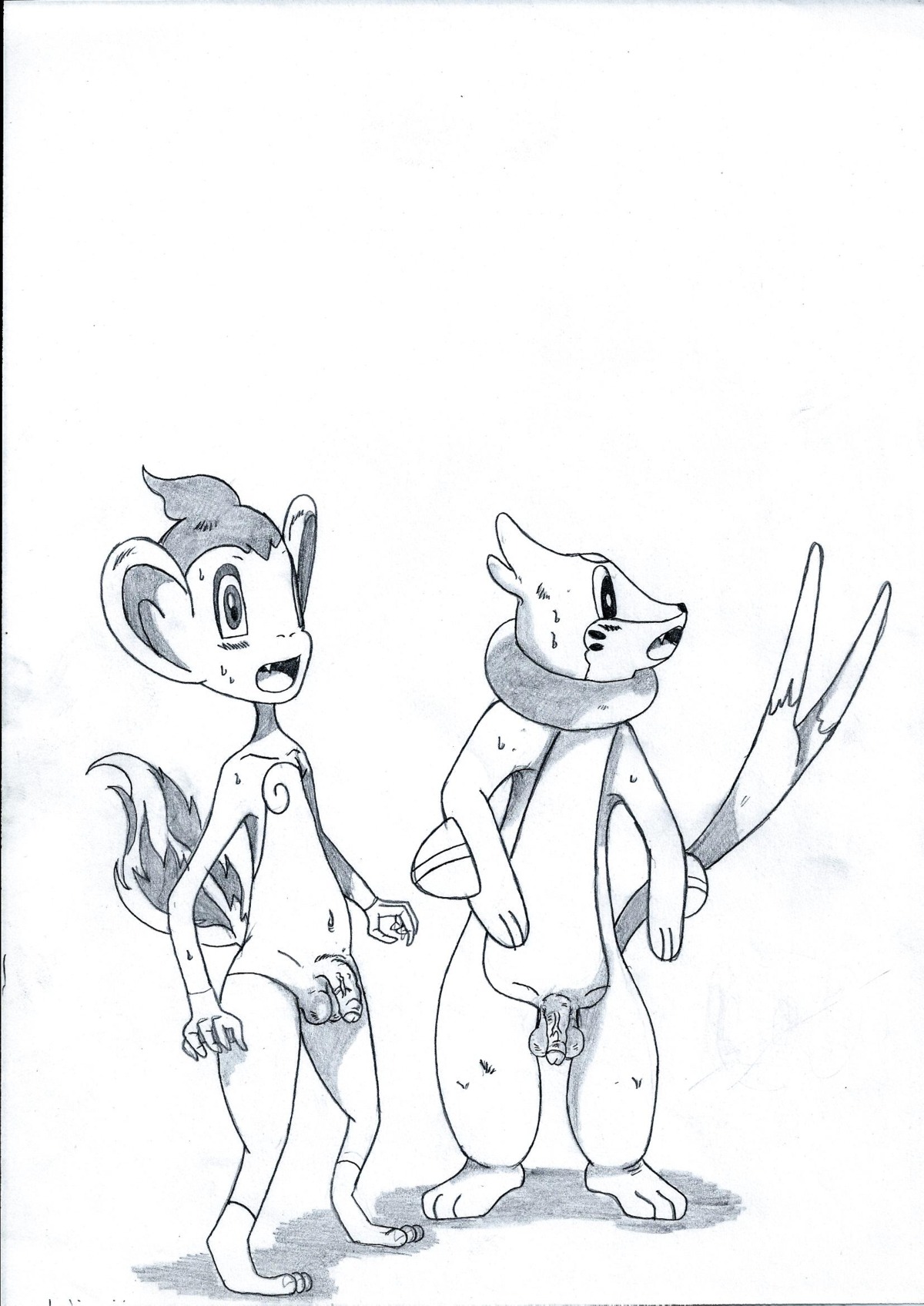 anthro balls buizel chimchar duo e621 fire flaccid flaming_tail generation_4_pokemon genitals half-erect hi_res male nintendo penis pokehard pokemon pokemon_(species) tail