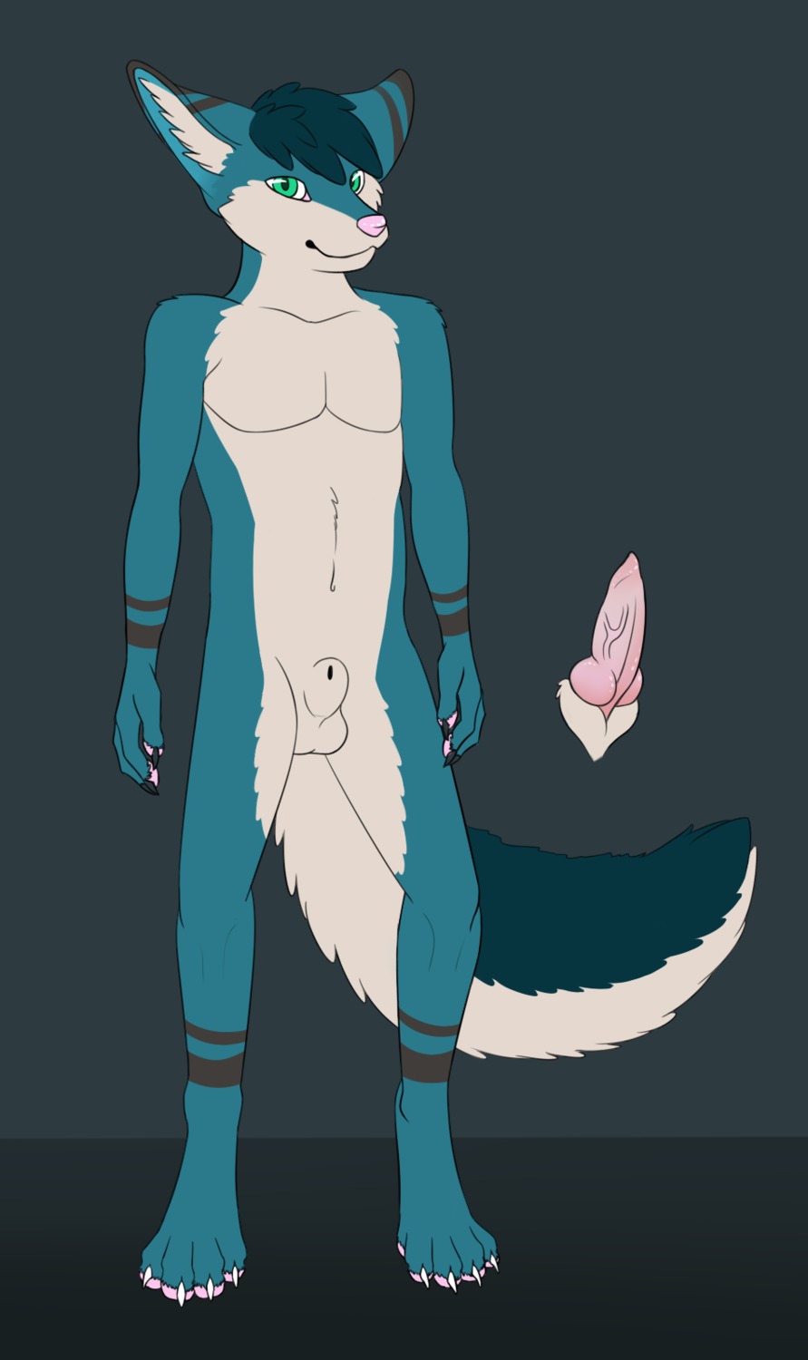 animal_genitalia anthro canid canine casualfennec e621 erection fennec_fox fox fully_sheathed genitals hi_res male mammal penis sheath solo tail true_fox