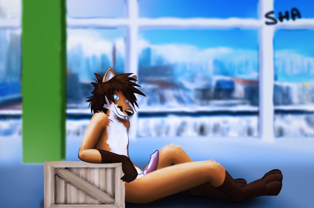 4_toes 5_fingers animal_genitalia animal_penis anthro biped black_nose blue_eyes box brown_body brown_fur brown_hair canid canine canine_genitalia canine_penis container crate e621 electronic_arts erection feet fingers fox fur fuzzywuff genitals gloves_(marking) hair humanoid_hands inside leg_markings looking_aside looking_at_viewer male mammal markings mirror's_edge nude orange_body orange_fur penis short_hair side_view sitting socks_(marking) solo toes tongue tongue_out white_body white_fur zahndy