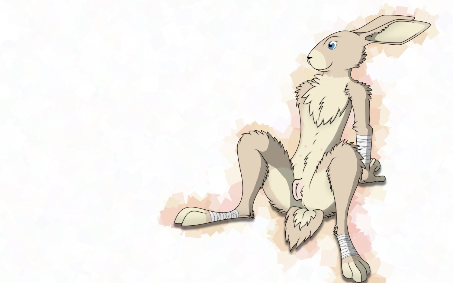 16:10 4_toes blue_eyes brown_body brown_fur digitigrade e621 eisenknurren feet female fur genitals hi_res hindpaw lagomorph leporid mammal nude paws presenting rabbit simple_background sitting solo spread_legs spreading toes vulva wallpaper white_background widescreen