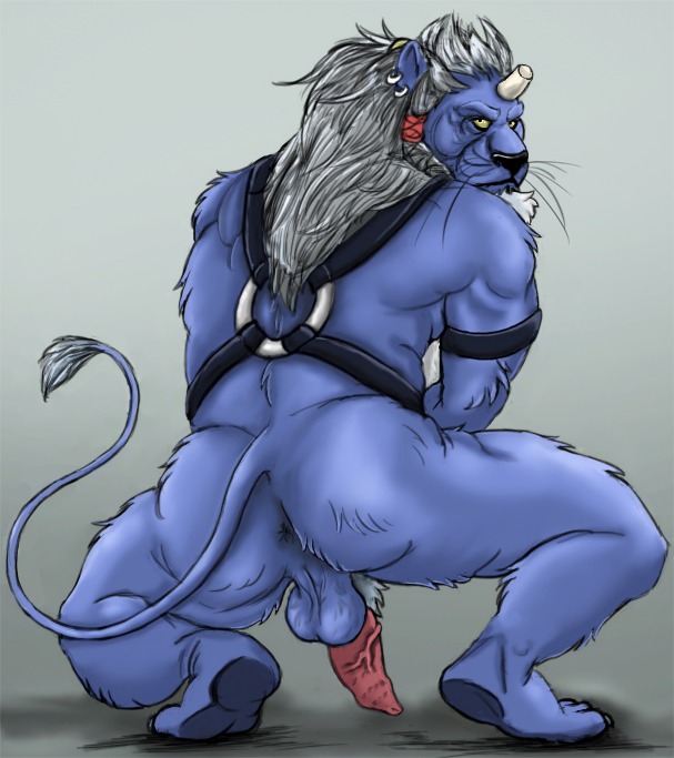 2014 anthro anus backsack balls biped broken_horn butt e621 ear_piercing erection felid final_fantasy final_fantasy_x fur genitals hair harness horn kimahri looking_back male mammal mane muscular muscular_anthro muscular_male penile_spines penis perineum piercing ronso solo square_enix tarolyon vein white_hair yellow_eyes