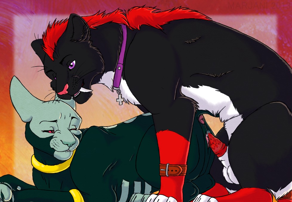 3_toes anus balls black_body black_eyes black_fur blue_body blue_fur collar duo e621 erection fangs feet felid female feral feral_on_feral fur genitals green_body green_fur hair happy looking_back looking_down lying male male/female mammal marjani narrowed_eyes nude on_front one_eye_closed open_mouth penis pink_body pink_eyes pink_nose pink_skin red_body red_fur red_hair red_penis sabertooth_(anatomy) sex sharp_teeth short_hair simple_background smile squint straps teeth toes tongue vaginal vulva white_body white_fur wristband yellow_background