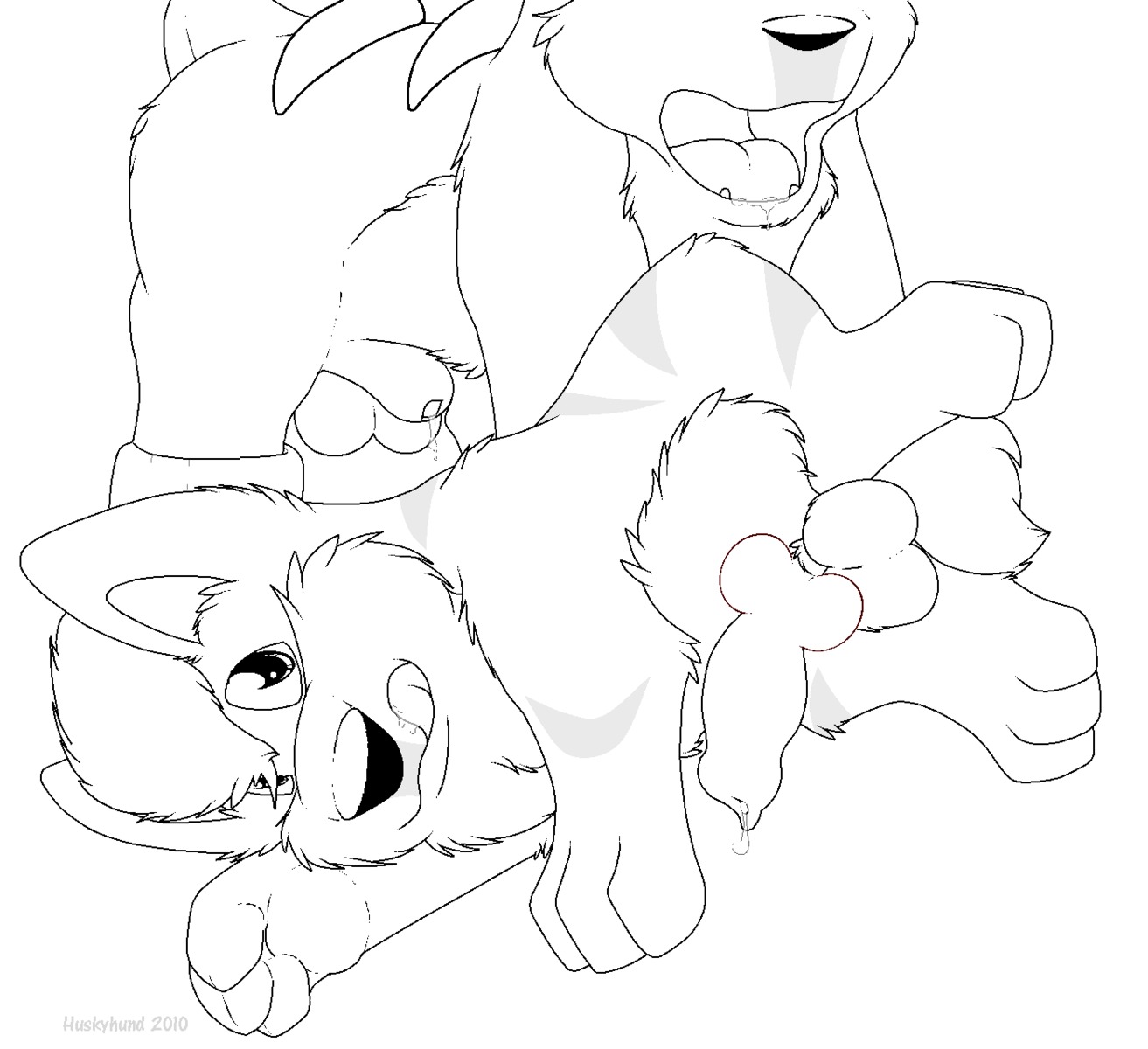2010 balls canid canine canine_penis feral growlithe houndour huskyhund knot male male_only nintendo penis pokemon pokemon_(species) precum rule34 sheath