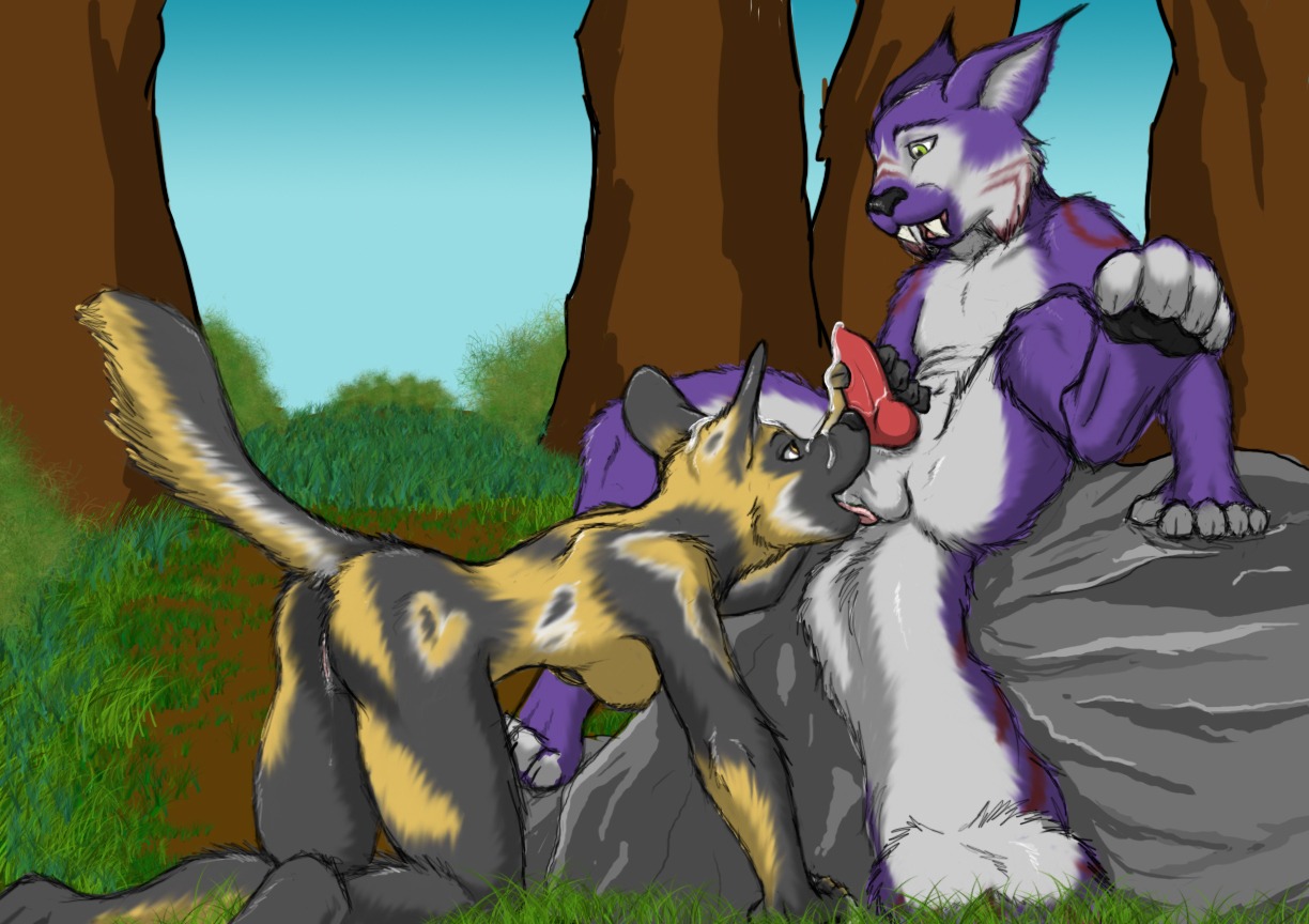 african_wild_dog all_fours animal_genitalia animal_penis anthro ball_lick balls bodily_fluids body_worship canid canine canine_genitalia canine_penis cum cum_on_face dripping duo e621 erection felid feline female genital_fluids genitals handjob knot koosh koosh-ball licking lynx male male/female mammal nude oral outside penile penis raised_tail sex sitting tail tongue tongue_out vaginal_fluids vulva wet