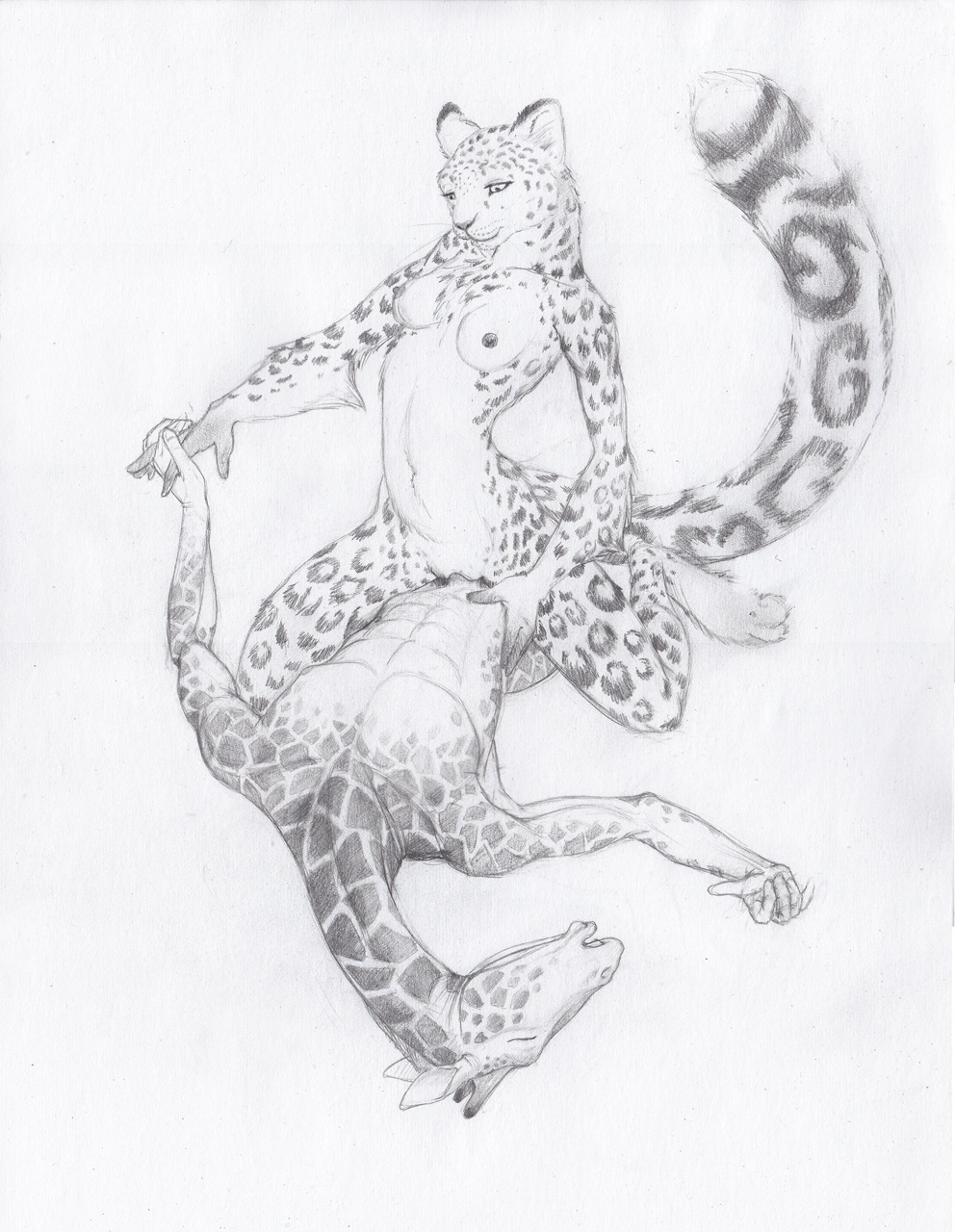 animal_print anthro breasts cowgirl_position duo e621 eyes_closed felid female female_on_top female_penetrated from_front_position genitals giraffe giraffe_print giraffid graphite_(artwork) greyscale hand_holding hi_res horn leopard leopard_spots long_neck lying male male/female male_on_bottom male_penetrating male_penetrating_female mammal monochrome nipples nude on_back on_bottom on_top ossicone pantherine penetration penile penile_penetration penis penis_in_vagina quillu sex sketch snow_leopard spots straddling tail traditional_media_(artwork) vaginal vaginal_penetration vulva
