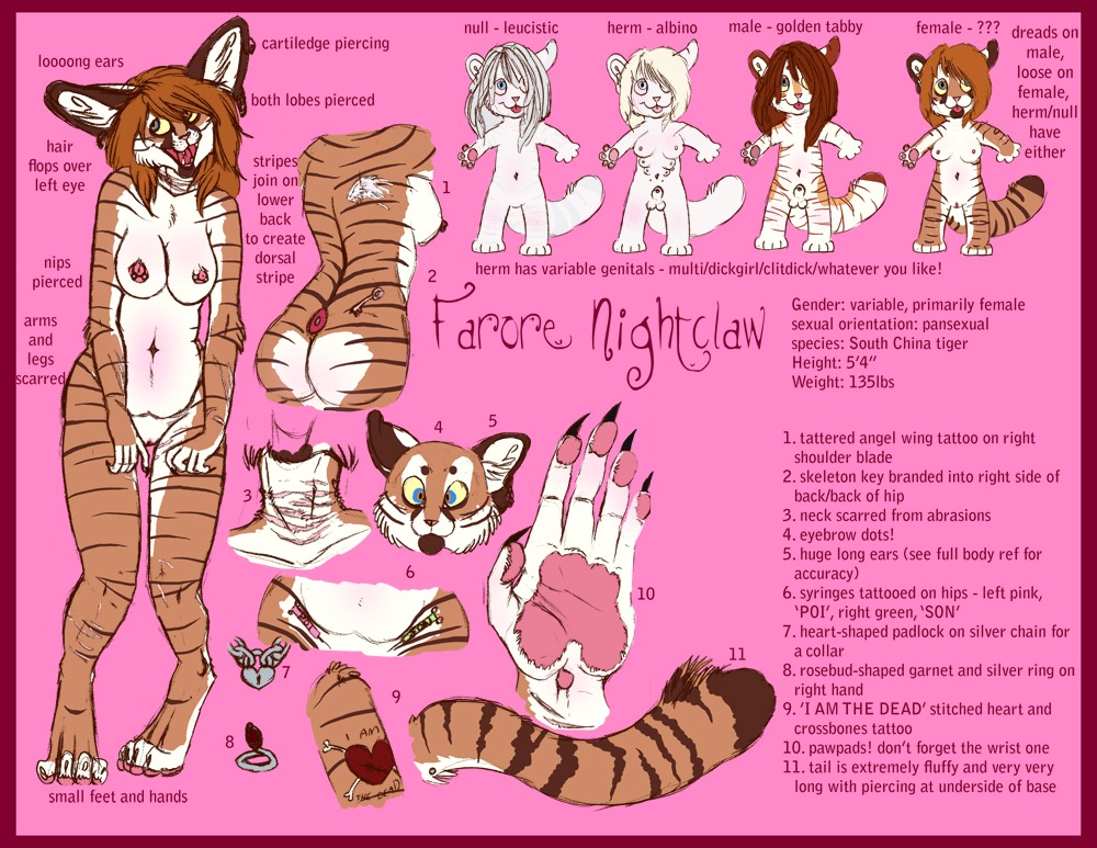 anthro border breasts brown_hair domestic_cat e621 english_text farorenightclaw farorenightclaw_(character) felid feline felis female fur hair mackerel_tabby mammal model_sheet nipples nude red_border solo tabby_cat tail text