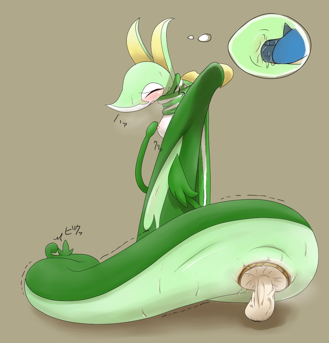 blush breasts color female female_only feral foongus insertion mushroom nipples pokemon pokemon_bw pussy rule34 serperior solo tagme vulva