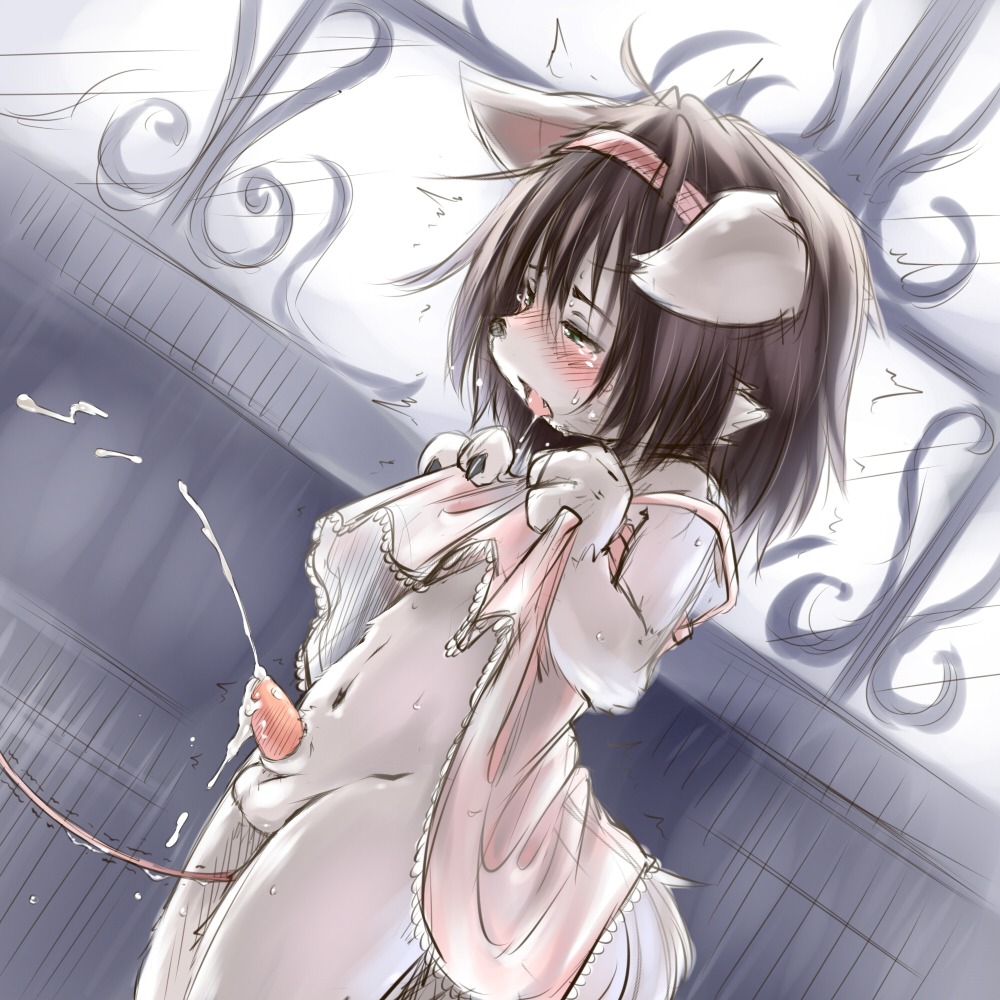 1:1 anal anal_orgasm anal_penetration anthro anthro_penetrated balls biped black_nose blush bodily_fluids bottomless brown_hair canid canine clothed clothing clothing_lift colored_sketch crossdressing cum cum_drip cum_while_penetrated cumshot day detailed_background dress dress_lift dripping drooling dutch_angle e621 ejaculation emanata erection femboy fur genital_fluids genitals green_eyes grey_body grey_fur hair hands-free koishi_chikasa lace looking_pleasured male male_penetrated mammal navel object_in_ass open_mouth orgasm orgasm_face penetration penis pink_penis saliva saliva_string sex_toy sex_toy_in_ass sex_toy_insertion shota sketch slim small_penis solo standing sweat tapering_penis tears tongue tongue_out vibrating vibrator vibrator_in_ass young young_anthro young_male
