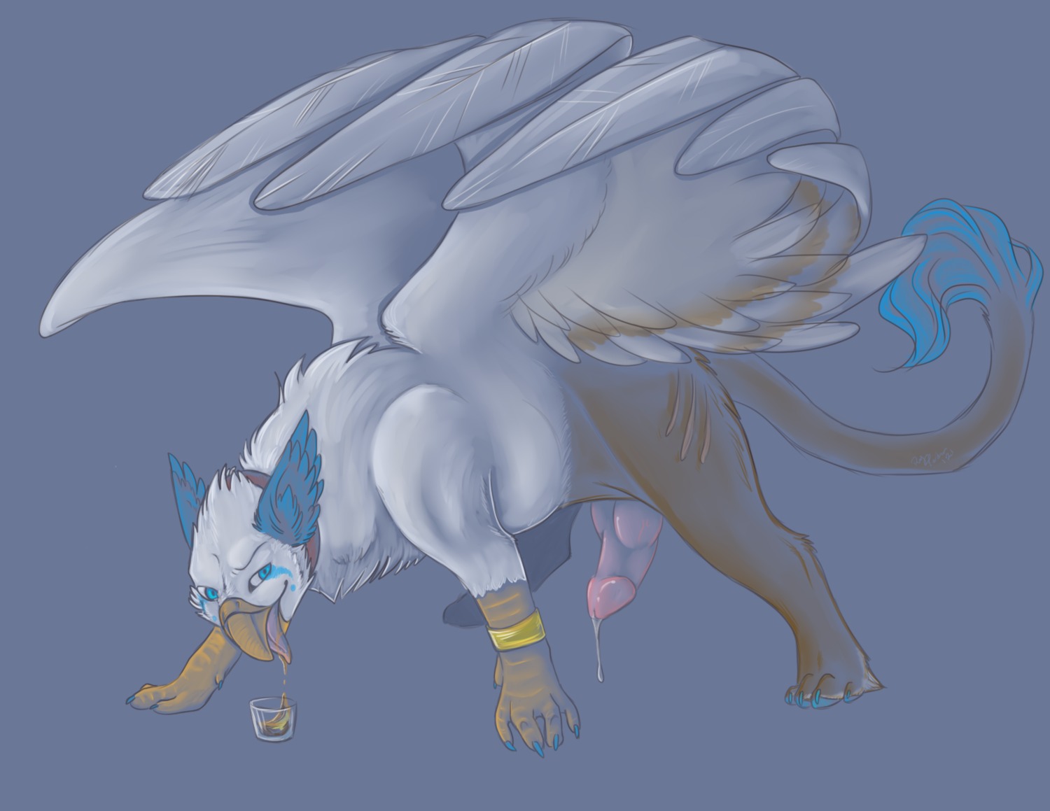 alcohol avian beak beverage blue_eyes bodily_fluids drunk e621 erection feathered_wings feathers feral genital_fluids genitals glass gryphon hi_res iko knot male mythological_avian mythological_creature mythology narcoo penis precum simple_background solo substance_intoxication tail tongue tongue_out wings yaoifairy
