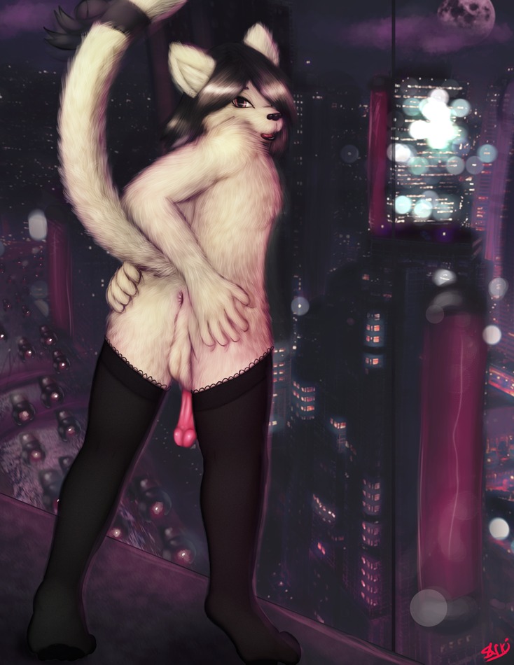 anthro backsack balls butt city clothing cyberpunk dark digital_media_(artwork) digital_painting_(artwork) domestic_cat e621 felid feline felis genitals half-erect humanoid_genitalia humanoid_penis lace legwear male mammal night painting_(artwork) penis presenting sarki solo spread_butt spread_legs spreading stockings tail teasing