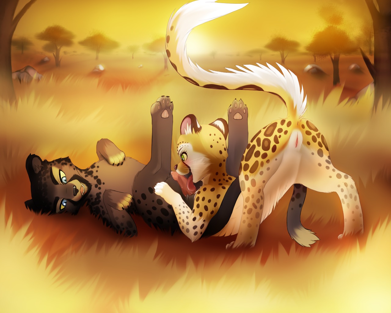 5:4 blue_eyes cheetah darkmirage digitigrade duo e621 erection feet felid feline female feral feral_on_feral genitals green_eyes hindpaw legs_up licking lying male male/female mammal mia_(hotwert) nude on_back oral outside pawpads paws penile penis penis_lick revad savanna sex tongue tongue_out vulva warm_colors