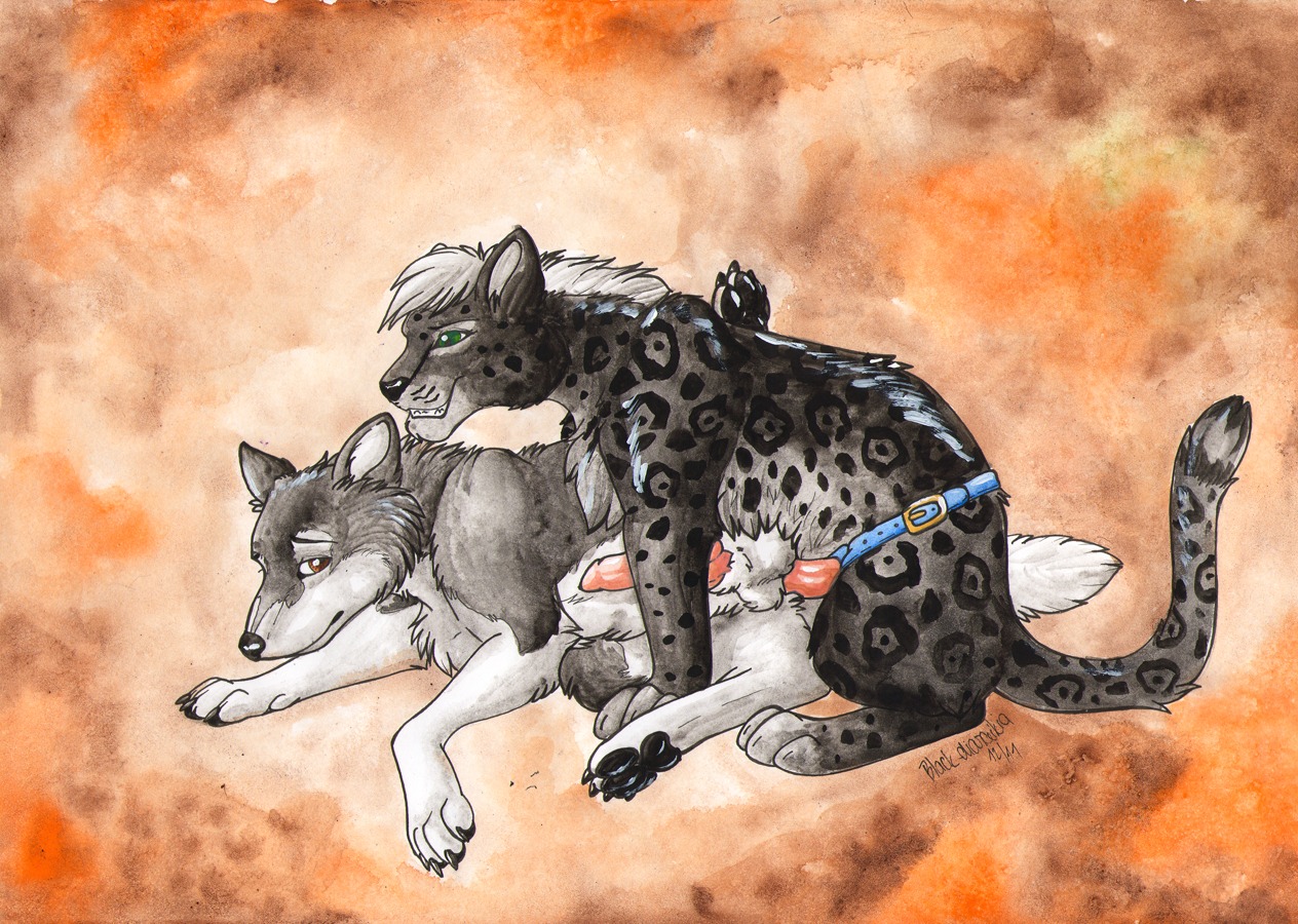 abstract_background alaskan_malamute alma_aurora anal anal_penetration canid canine canis dildo domestic_dog duo e621 erection felid female female_on_top female_penetrating female_penetrating_male feral feral_on_feral feral_penetrated feral_penetrating feral_penetrating_feral fur genitals jaguar male male/female male_on_bottom male_penetrated mammal nordic_sled_dog nude object_in_ass on_bottom on_top pantherine pegging penetration penis quadruped sex sex_toy sex_toy_in_ass sex_toy_insertion spitz strapon tail toying_partner traditional_media_(artwork)