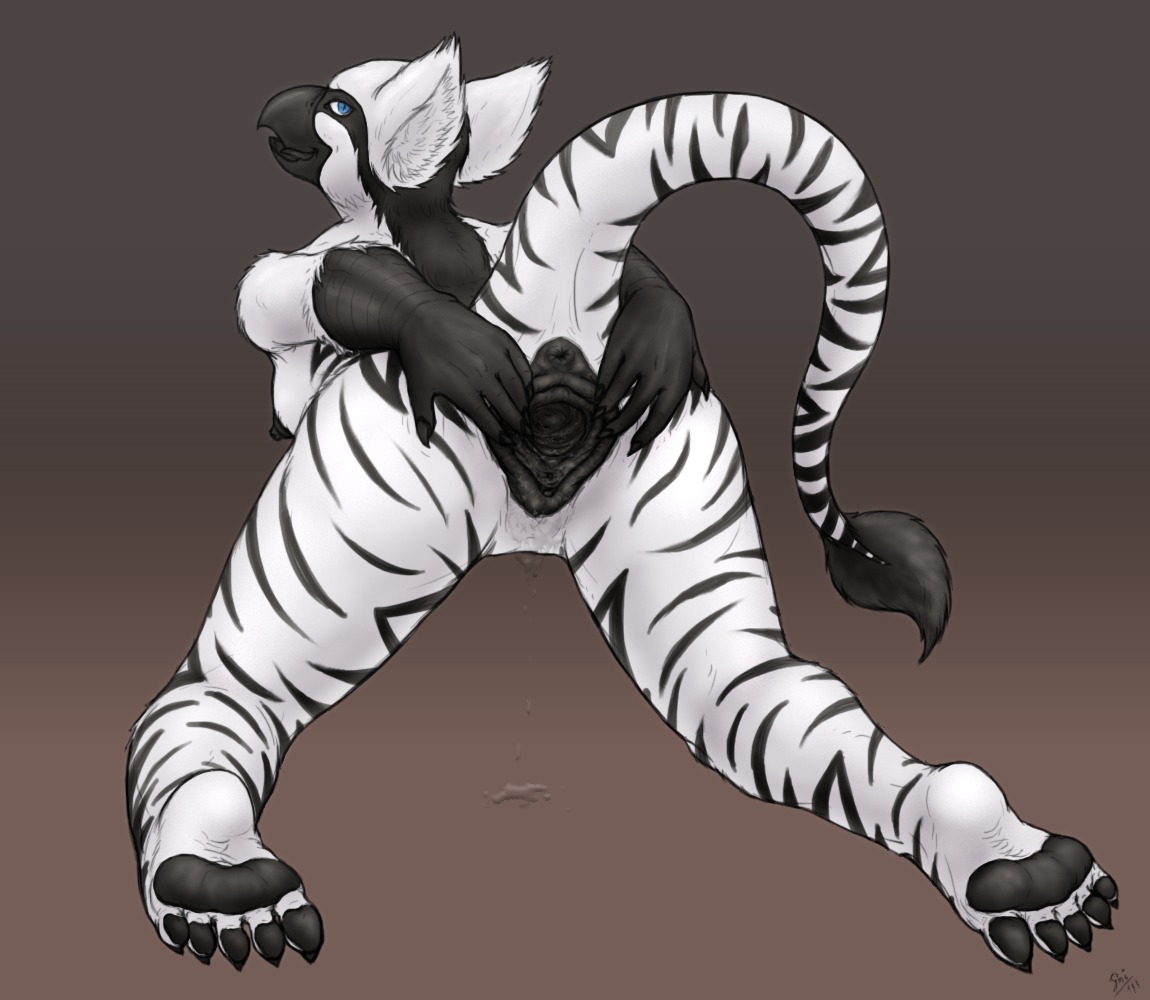 anthro anus avian beak black_markings black_pawpads blue_eyes bodily_fluids breasts butt ceylon_a'merone e621 feathers feet female female_urethra fur gaping gaping_vagina genital_fluids genitals gryphon hindpaw looking_at_viewer looking_back markings mythological_avian mythological_creature mythology nipples non-mammal_breasts non-mammal_nipples open_mouth pawpads paws pinup pose soles solo spread_vulva spreading striped_body striped_skin stripes tail tail_tuft tuft urethra vaginal_fluids vulva white_body white_feathers white_fur white_skin yellowpower
