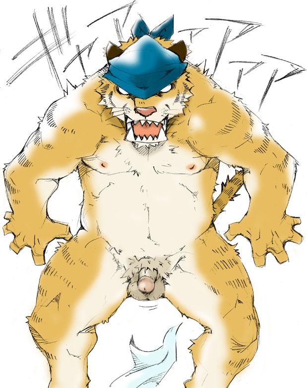 abs animal_genitalia anthro balls biceps big_muscles e621 felid flaccid genitals male mammal muscular muscular_anthro muscular_male nude pantherine pecs penis pose sheath simple_background small_penis solo startled stripes tail tiger toratorayatora white_background