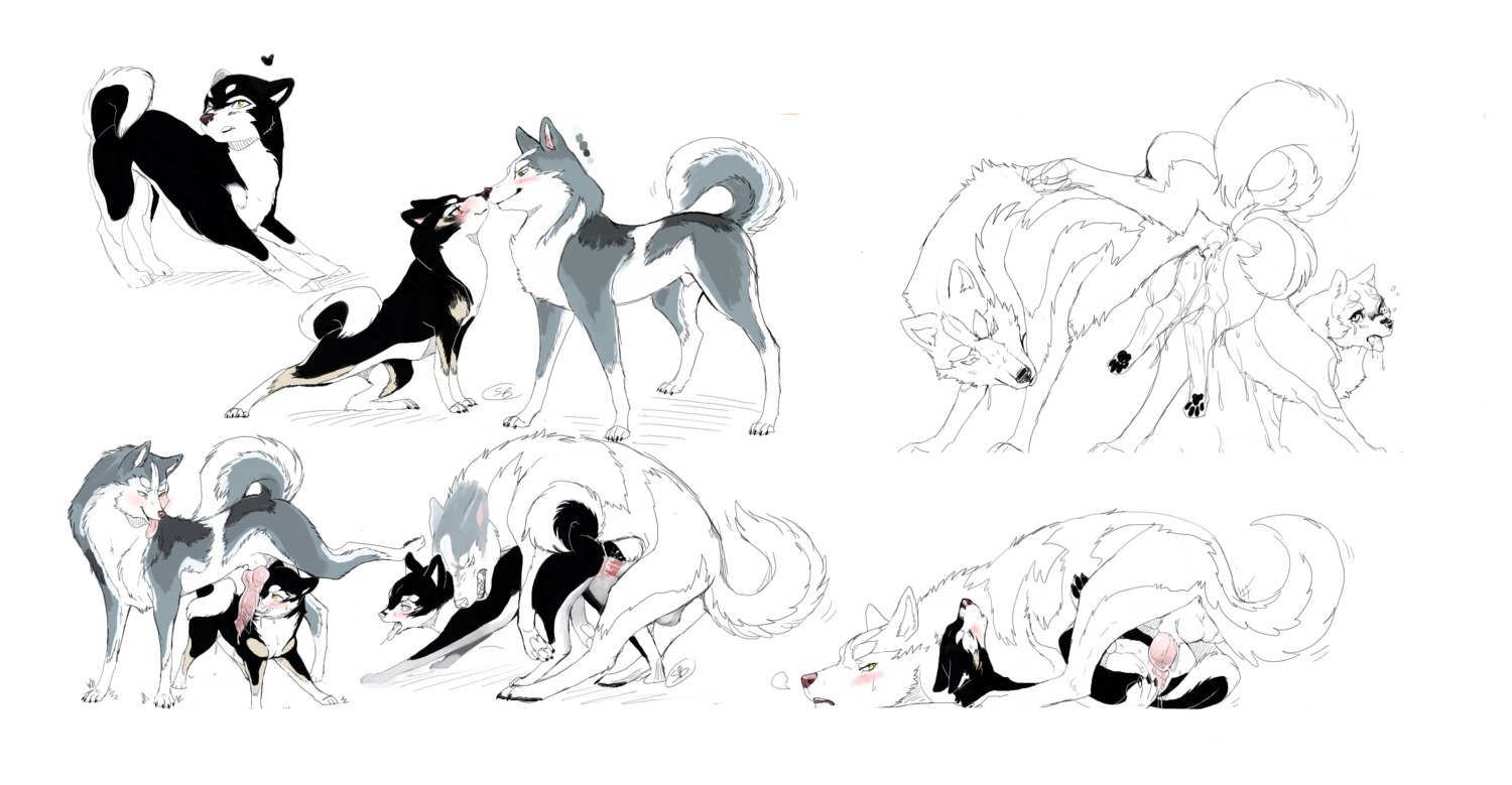 balls bodily_fluids canid canine canis cum cum_in_vagina cum_inside domestic_dog dominant duo e621 erection female female_penetrated feral feral_on_feral genital_fluids genitals hi_res husky knot larger_dom larger_male licking male male/female male_penetrating male_penetrating_female mammal nordic_sled_dog nude oral penetration penile penile_penetration penis penis_in_vagina sex shebeast shiba_inu size_difference smaller_female smaller_penetrated spitz tongue tongue_out vaginal vaginal_penetration vulva