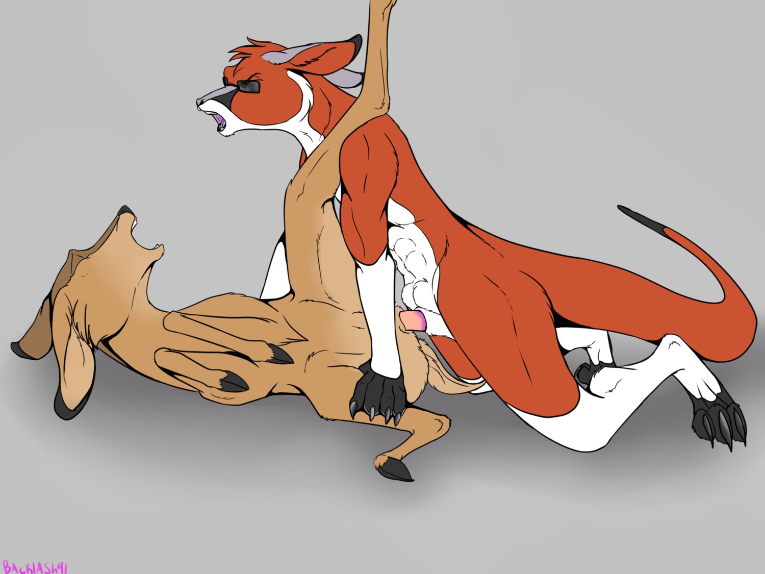 4:3 absurd_res anatomically_correct anatomically_correct_genitalia anatomically_correct_penis animal_genitalia animal_penis anthro anthro_on_feral anthro_penetrating anthro_penetrating_feral backlash91 balls balls_above_penis bestiality biped conditional_dnp deer digital_media_(artwork) duo e621 erection eyes_closed eyewear feet female female_on_anthro female_penetrated feral feral_penetrated fur gem genitals glasses hi_res hooves interspecies kangaroo macropod male male/female male_on_feral male_penetrating male_penetrating_female mammal marsupial marsupial_penis nude penetration penile penile_penetration penis penis_in_vagina quadruped raised_leg red_kangaroo rufus_black sex thin_penis vaginal vaginal_penetration