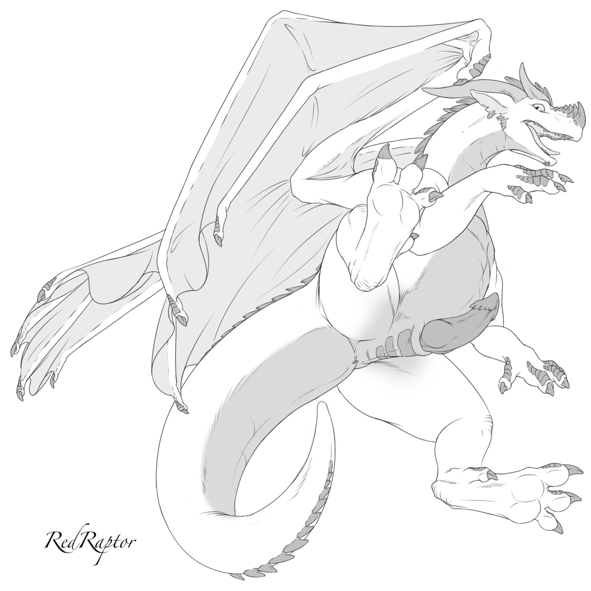 1:1 2014 absurd_res animal_genitalia anus butt claws dragon e621 ear_piercing erection feral genital_slit genitals greyscale hi_res horn looking_at_viewer lying male membrane_(anatomy) membranous_wings monochrome mythological_creature mythological_scalie mythology nude on_side open_mouth penis piercing presenting presenting_hindquarters redraptor16 scalie simple_background solo spread_legs spreading tail tongue white_background wings