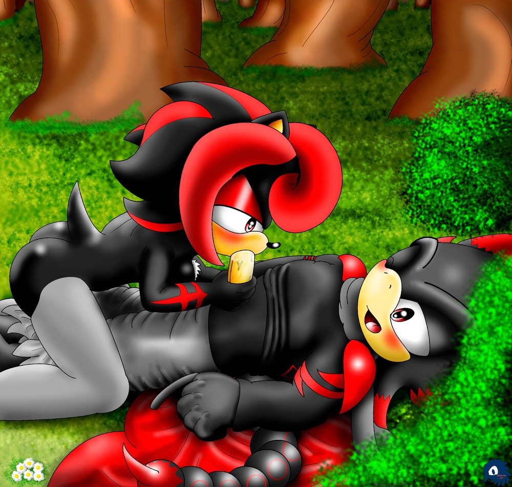 2011 anthro anthro_on_anthro arachnid arthropod bigdon1992 blush bottomwear clothed clothed_sex clothing detailed_background duo e621 erection eulipotyphlan fan_character fellatio female female_penetrated forest fully_clothed genitals hedgehog legwear legwear_only male male/female male_penetrating male_penetrating_female mammal mostly_nude nature oral oral_penetration outside pants penetration penile penis plant scorpion sega sex shady shadythehedgehog1000 sonic_the_hedgehog_(series) thigh_highs tree wood zephir