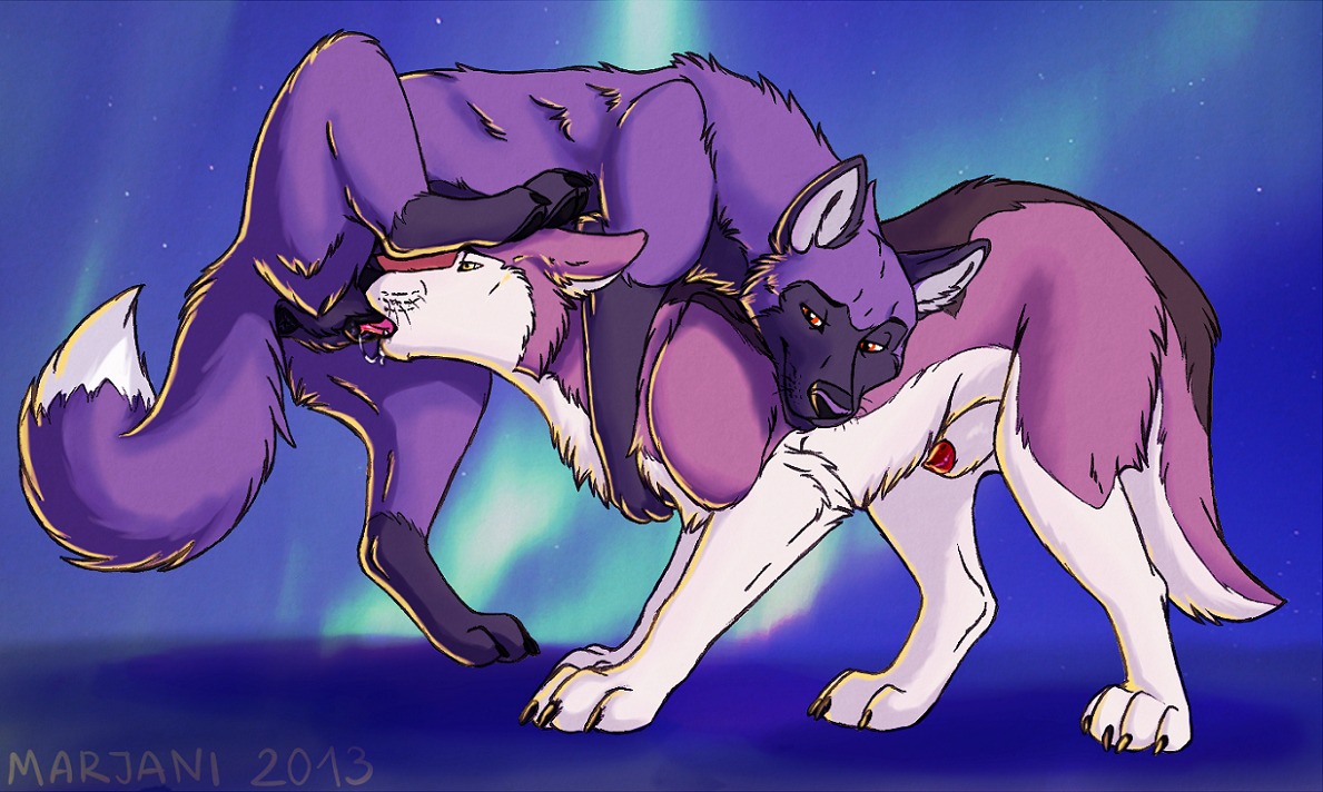 animal_genitalia canid canine canis cunnilingus domestic_dog duo e621 female feral feral_on_feral fur genitals male male/female mammal marjani nude oral penis penis_tip purple_body purple_fur red_eyes sex sheath vaginal vulva