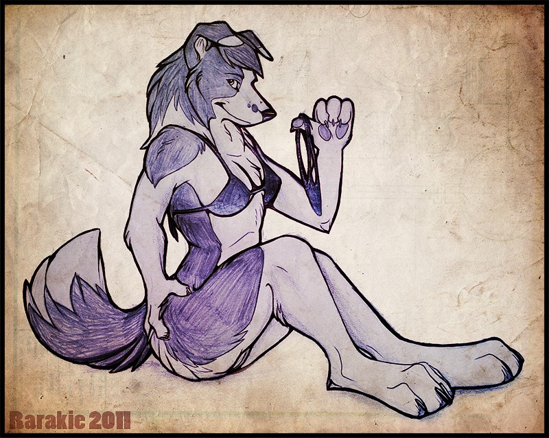 2011 anthro bikini border_collie canid canine canis clothed clothing collie domestic_dog e621 female genitals herding_dog mammal pastoral_dog rarakie sheepdog skimpy solo swimwear tail two-piece_swimsuit vulva