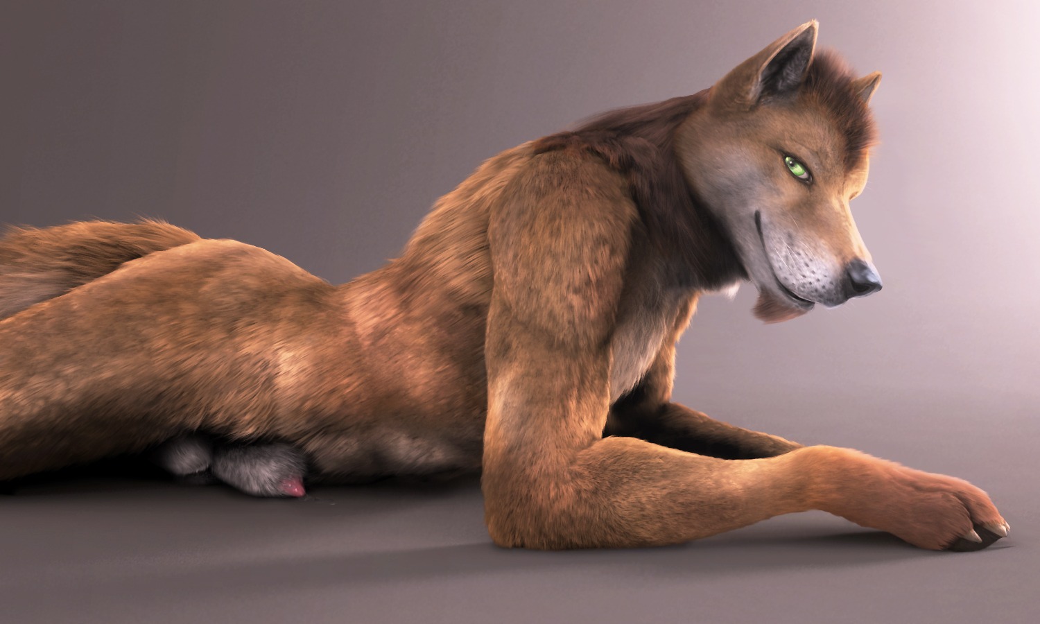 5:3 animal_genitalia anthro balls beard biped bodily_fluids brown_body brown_fur bundadingy canid canine canis dingo e621 facial_hair fur genital_fluids genitals green_eyes looking_at_viewer lying male mammal nude on_front penis penis_tip precum realistic sheath simple_background solo virtyalfobo