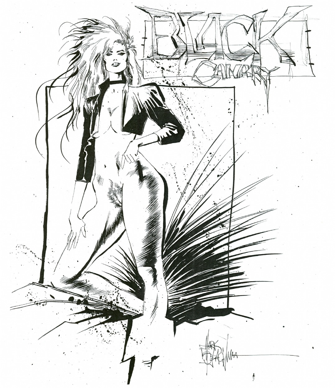 black_and_white black_canary character_name dc dc_comics female green_arrow_(series) mark_beachum rule34 signature tagme text