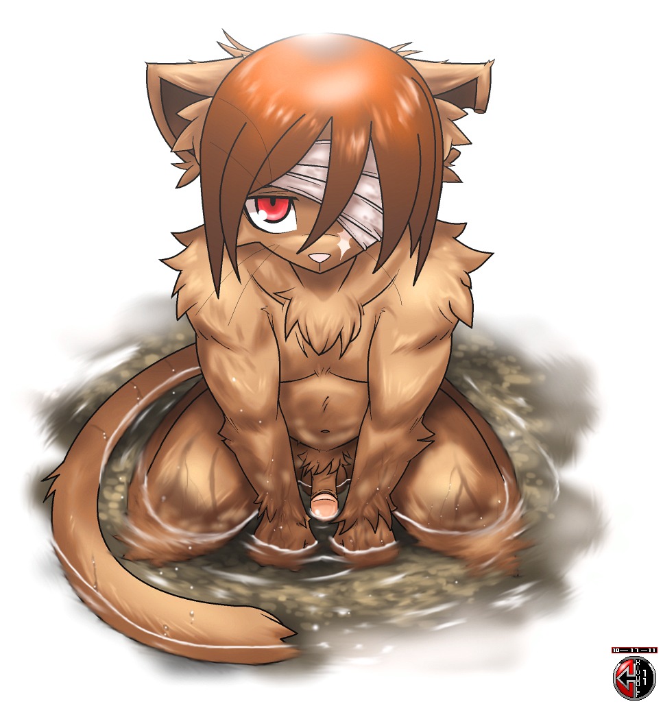 anthro balls bandage biped brown_hair chest_tuft domestic_cat e621 felid feline felis fur genitals hair kivwolf male mammal nude penis pink_nose red_eyes solo tail tuft water