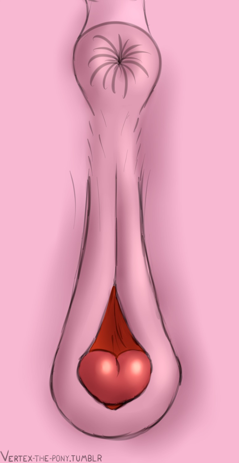anatomically_correct anatomically_correct_genitalia anatomically_correct_vulva animal_genitalia animal_vulva anus butt clitoral_winking clitoris close-up crotch_shot e621 earth_pony equid equine equine_genitalia equine_vulva female feral friendship_is_magic genital_close-up genital_shot genitals hasbro hi_res horse mammal my_little_pony pink_anus pink_body pink_vulva pinkie_pie_(mlp) pony signature solo vertex vulva vulva_close-up vulva_shot