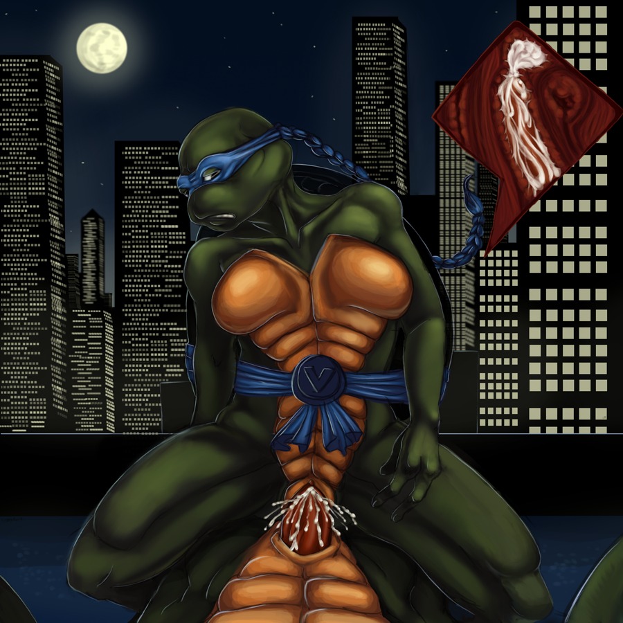 alternate_breast_size animal_genitalia anthro breasts female male male_pov moon night ninja_turtles:_the_next_mutation outdoors pov rule34 sex straight tagme teenage_mutant_ninja_turtles turtle venus_de_milo