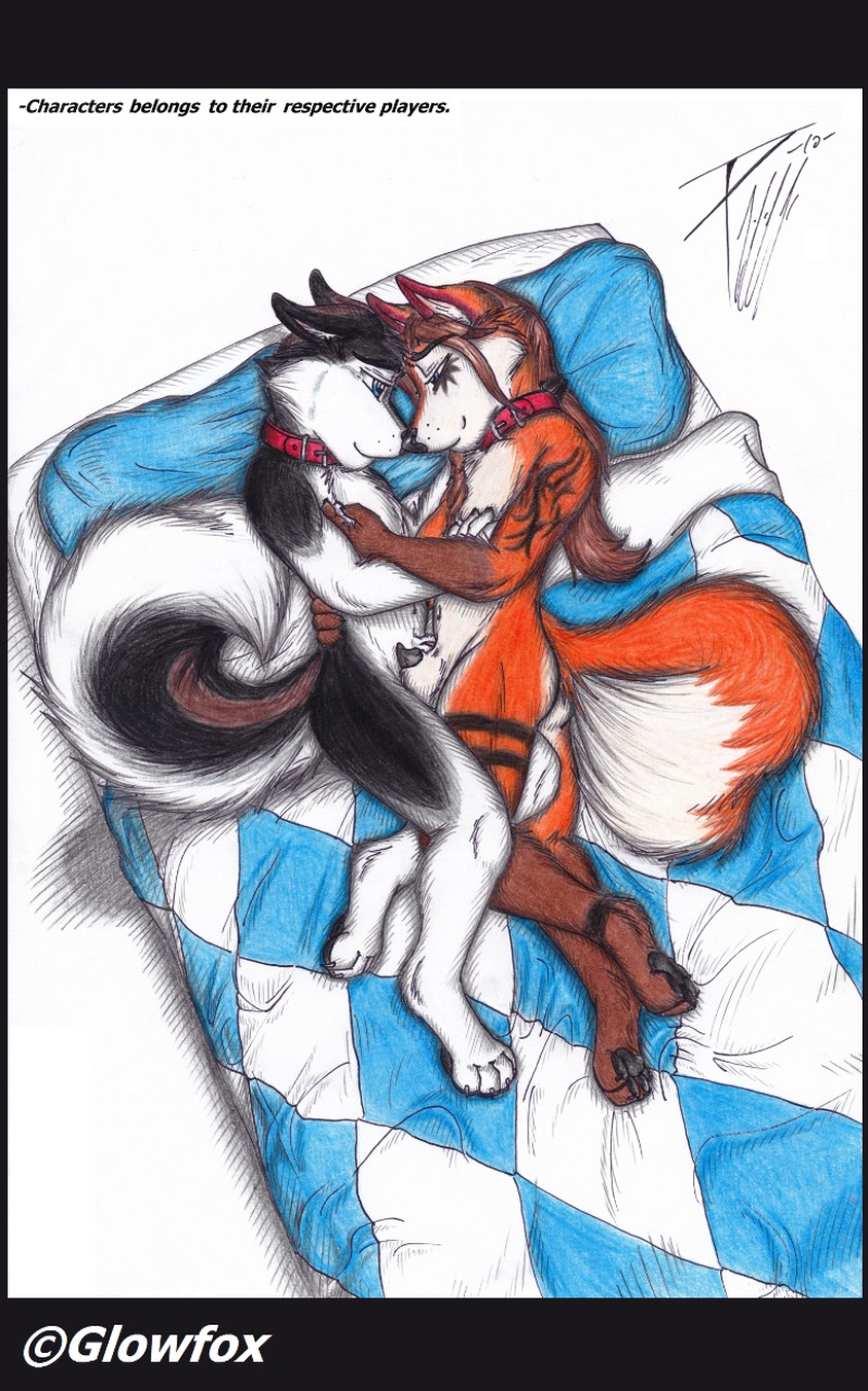 animal_genitalia animal_penis anthro anthro_on_anthro bed brown_hair canid canine canine_genitalia canine_penis canis collar domestic_dog duo e621 english_text eye_contact femboy flaccid fluffy fluffy_tail fox foxycross frottage fur fur_markings furniture genitals glowfox hair hi_res husky looking_at_another love male male/male mammal markings nordic_sled_dog paws penile penis penises_touching romantic romantic_couple sex sheath shuski spitz tail text