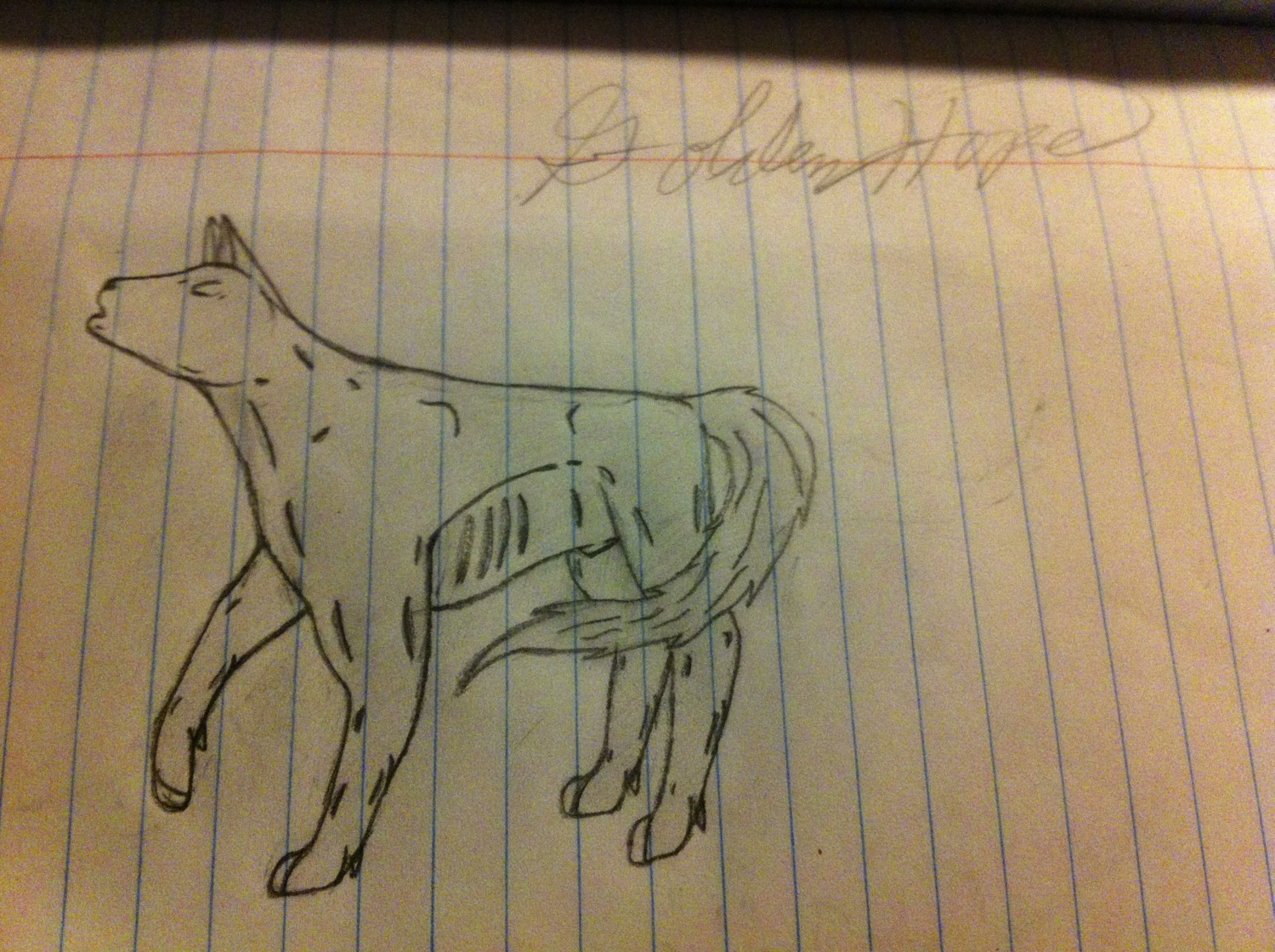 animal_genitalia canid canine canis digitigrade e621 feral genitals goldenhope grandfathered_content hi_res howl lined_paper male mammal open_mouth paper quadruped real sheath sketch solo tail traditional_media_(artwork) wolf