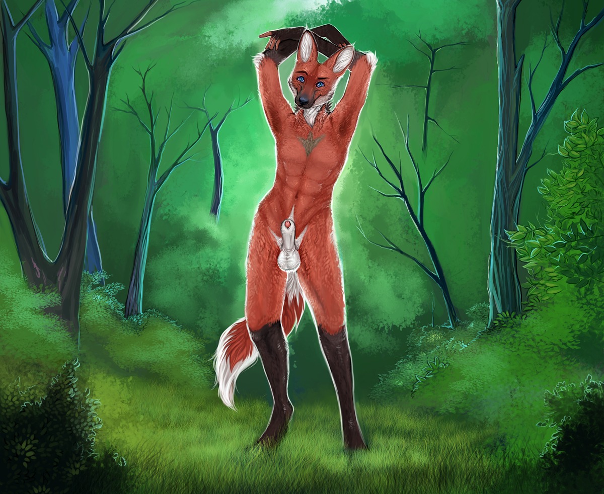 abs animal_genitalia anthro arms_above_head balls blue_eyes canid canine detailed_background e621 fur genitals half-erect looking_at_viewer male mammal maned_wolf nature nude outside penis red_body red_fur sheath solo theowlette