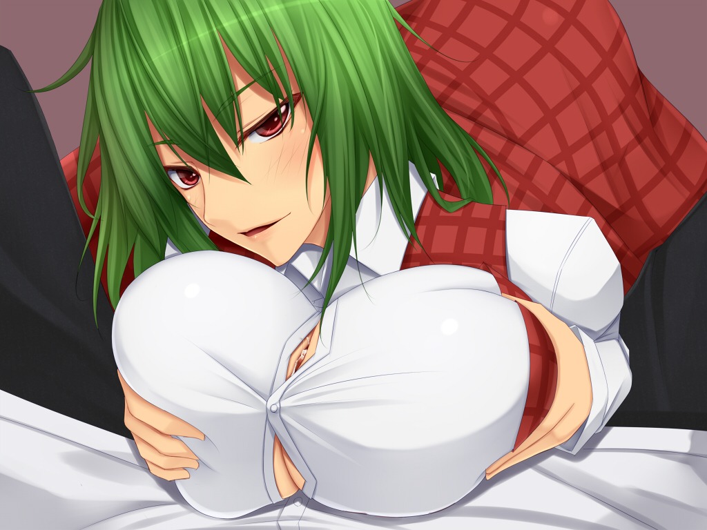 akitsuki_karasu female male partial_male rule34 tagme touhou yuka_kazami