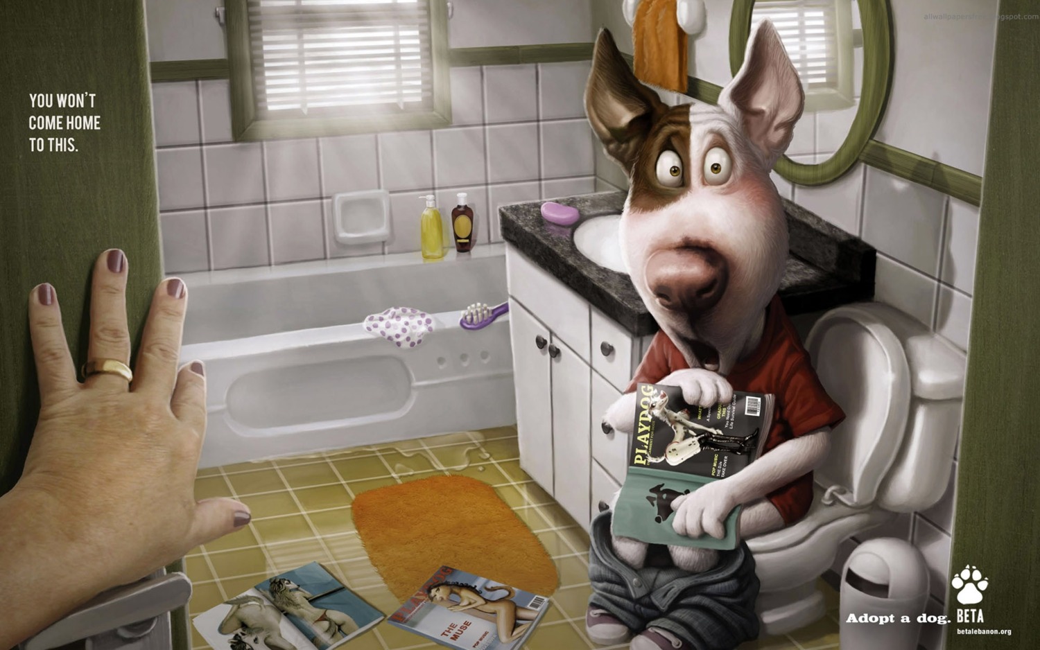 16:10 adolescent advertisement anthro awkward bathroom canid canine canis caught_in_the_act detailed detailed_background digital_media_(artwork) disembodied_hand domestic_dog duo e621 english_text female first_person_view hi_res human humor inside magazine male mammal parenthood parody playboy pornography solo_focus text tiago_hoisel toony walk-in wallpaper widescreen young young_anthro