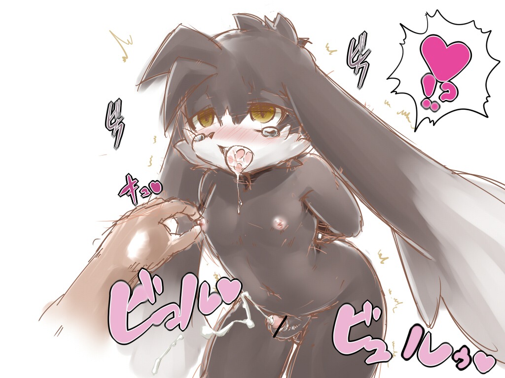klonoa klonoa_(series) male male_only rule34 tagme