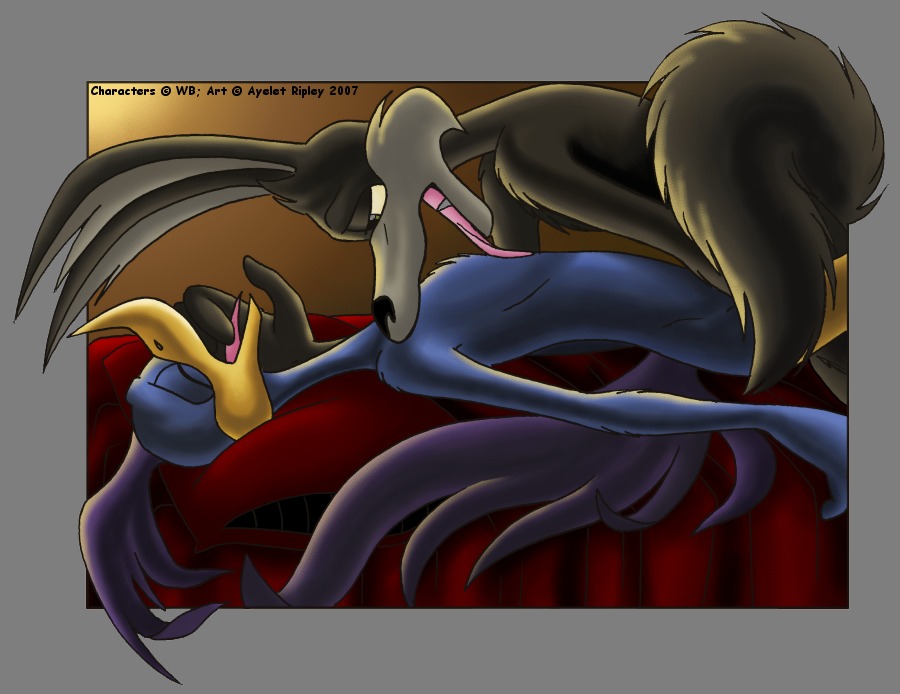 anthro ayelet_ripley furry loonatics_unleashed male male_only rev_runner rule34 soft_feathers tagme tech_e._coyote