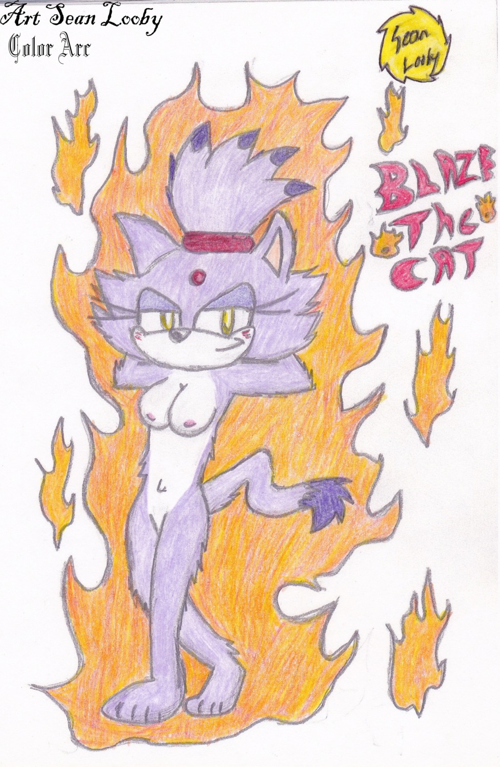anthro blaze_the_cat blush breasts cat color feline female female_only fire fur furry nipples nude rule34 solo sonic_(series) standing tagme